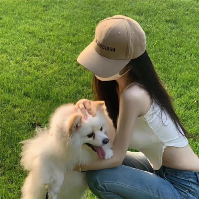 笨金鱼